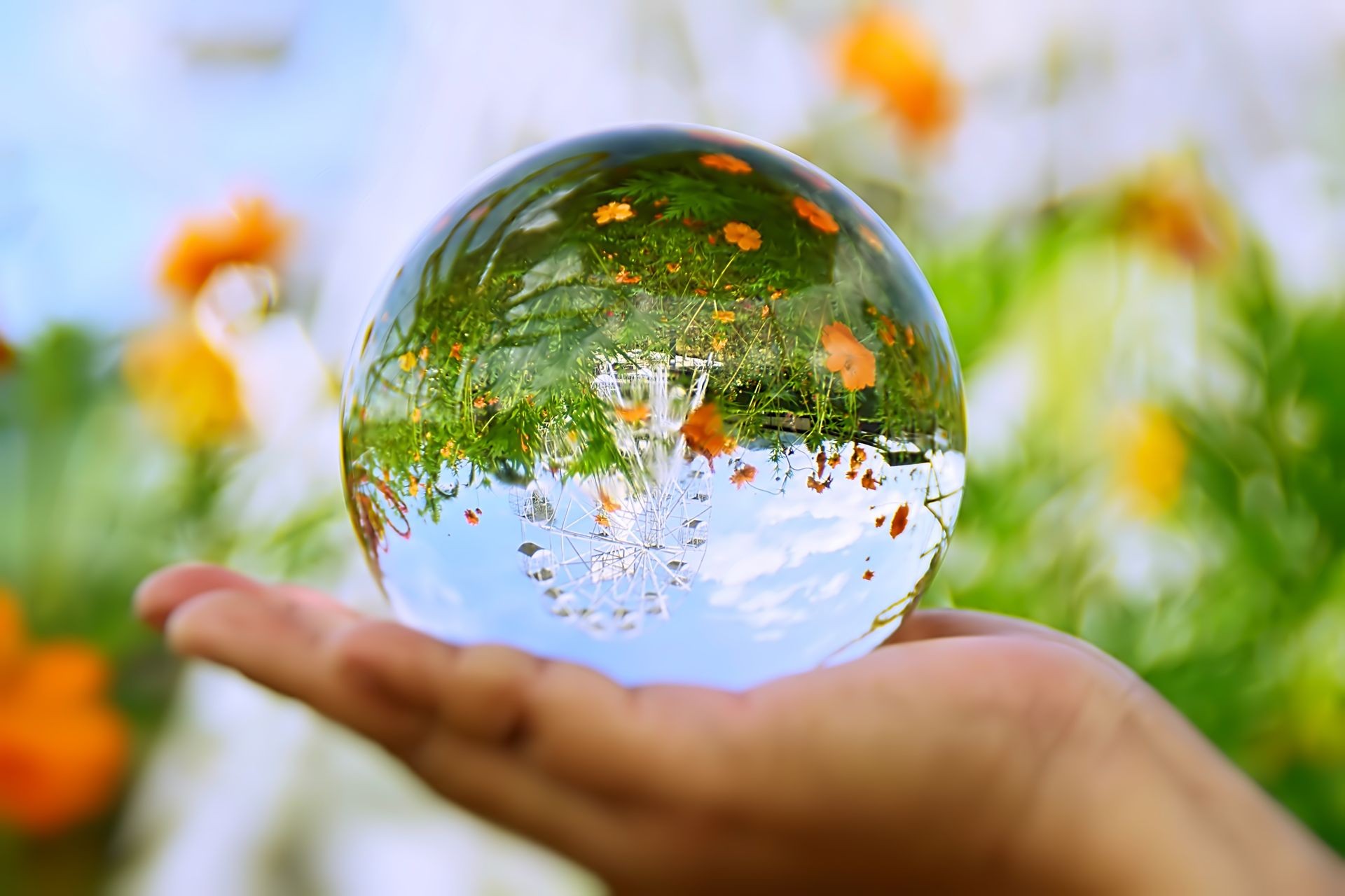 Abstract image of Reflections of flower garden in a crystal ball in Thailand, Save the Earth concept. This image was blurred or selective focus. Abstract image of Reflections of flower garden in a crystal ball in Thailand, Save the Earth concept. This image was blurred or selective focus.